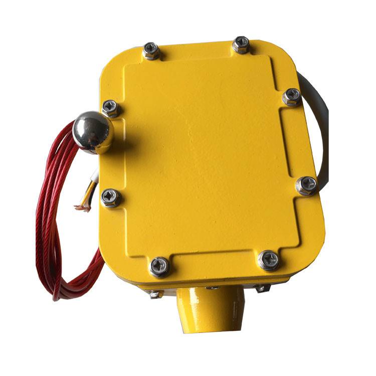 皮帶縱向撕裂檢測器SCPT-180-30、皮帶縱向撕裂檢測裝置ZL-B-II-100生產(chǎn)